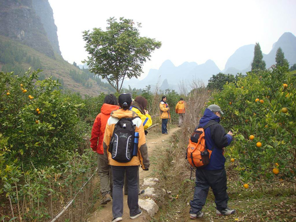 Hiking Through Orchard in Yangshuo